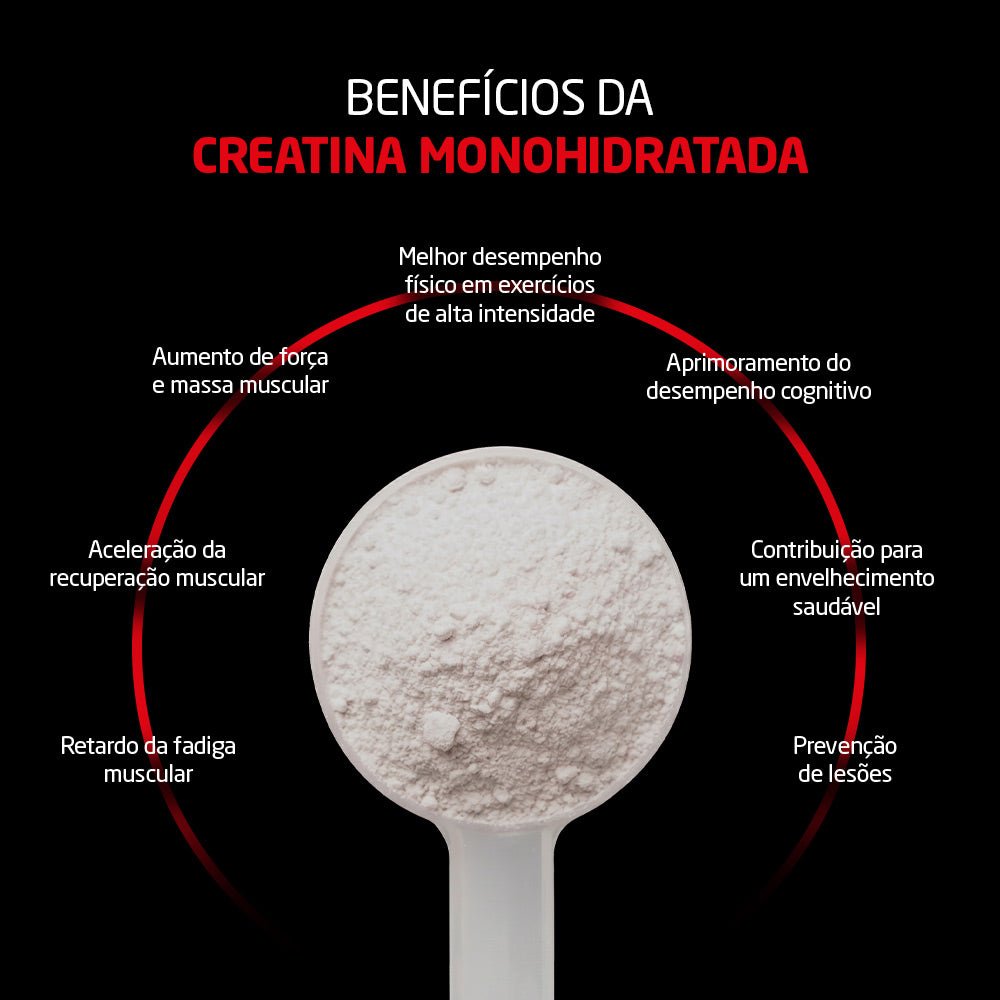 Creatina Monohidratada Micronizada 100% Pura 300g Fisiocult - Minha loja