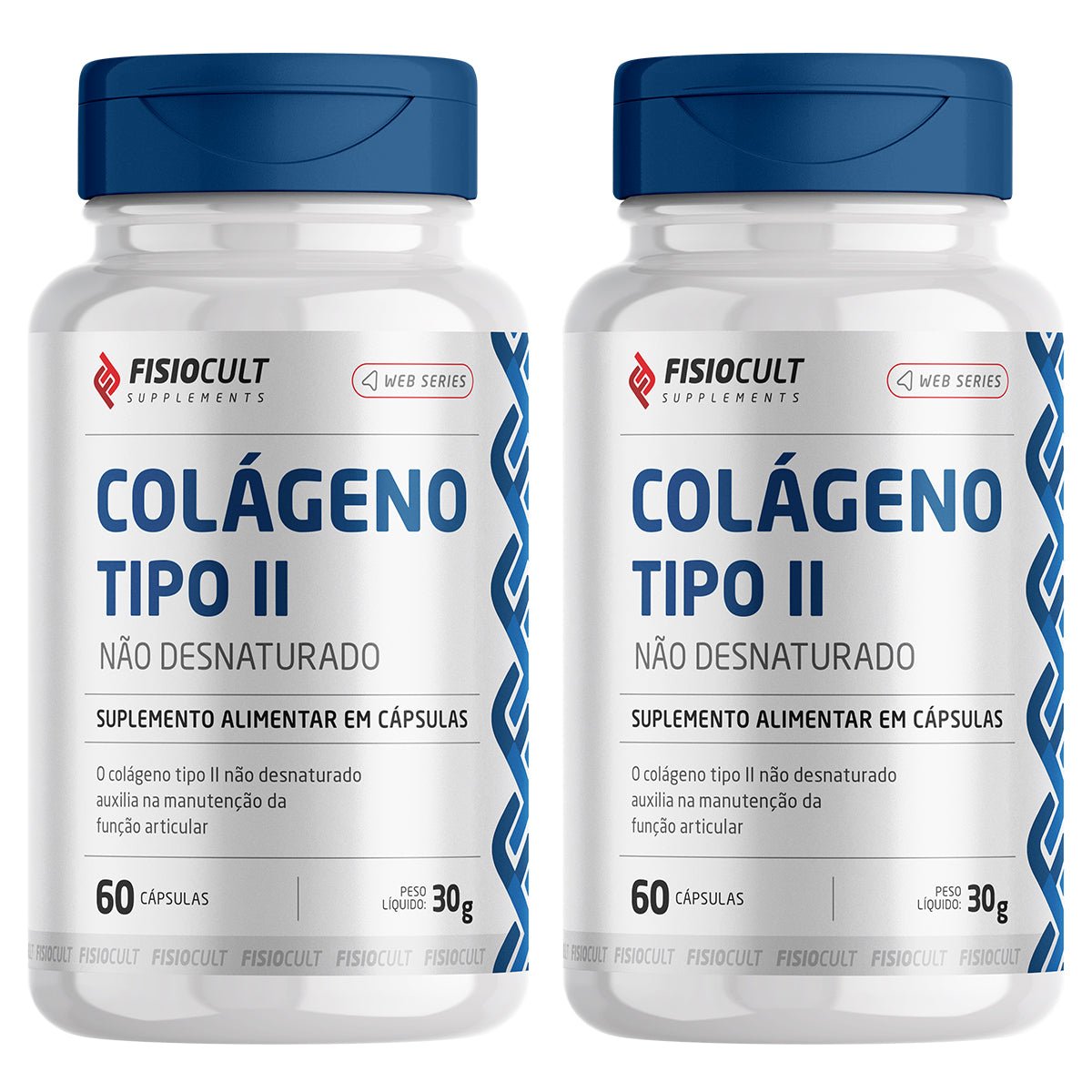 Kit: Colágeno Tipo II 40mg + Curcumina 130mg + Magnésio 200mg - 2 Potes - Fisiocult Supplements - Fisiocult Supplements